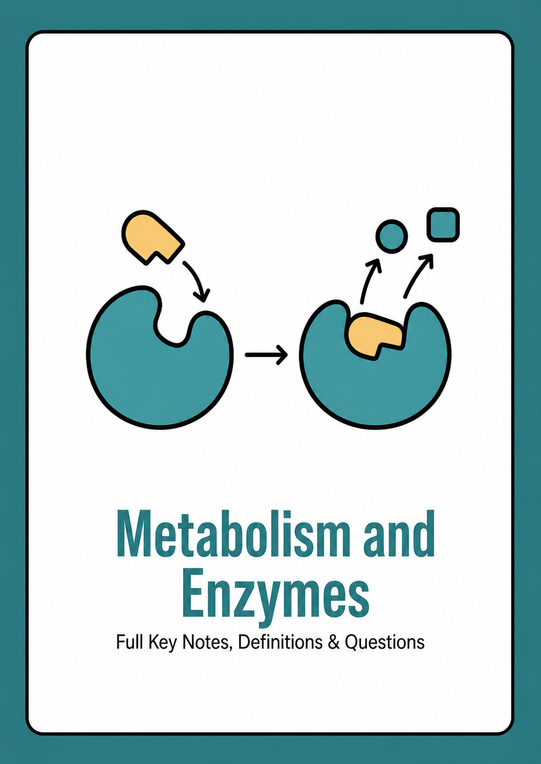 Chapter 15 - Metabolism and Enzymes cover