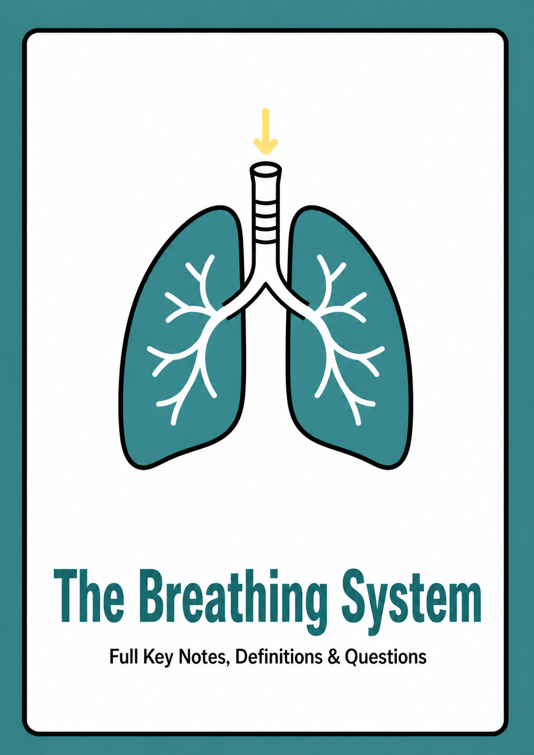 Chapter 28 - The Breathing System cover