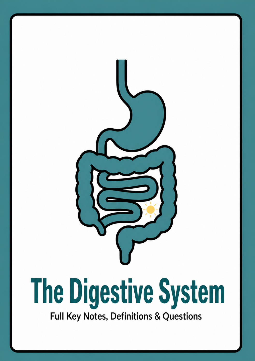 Chapter 30 - The Digestive System cover