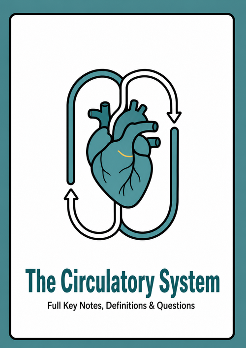 Chapter 31 - The Circulatory System cover