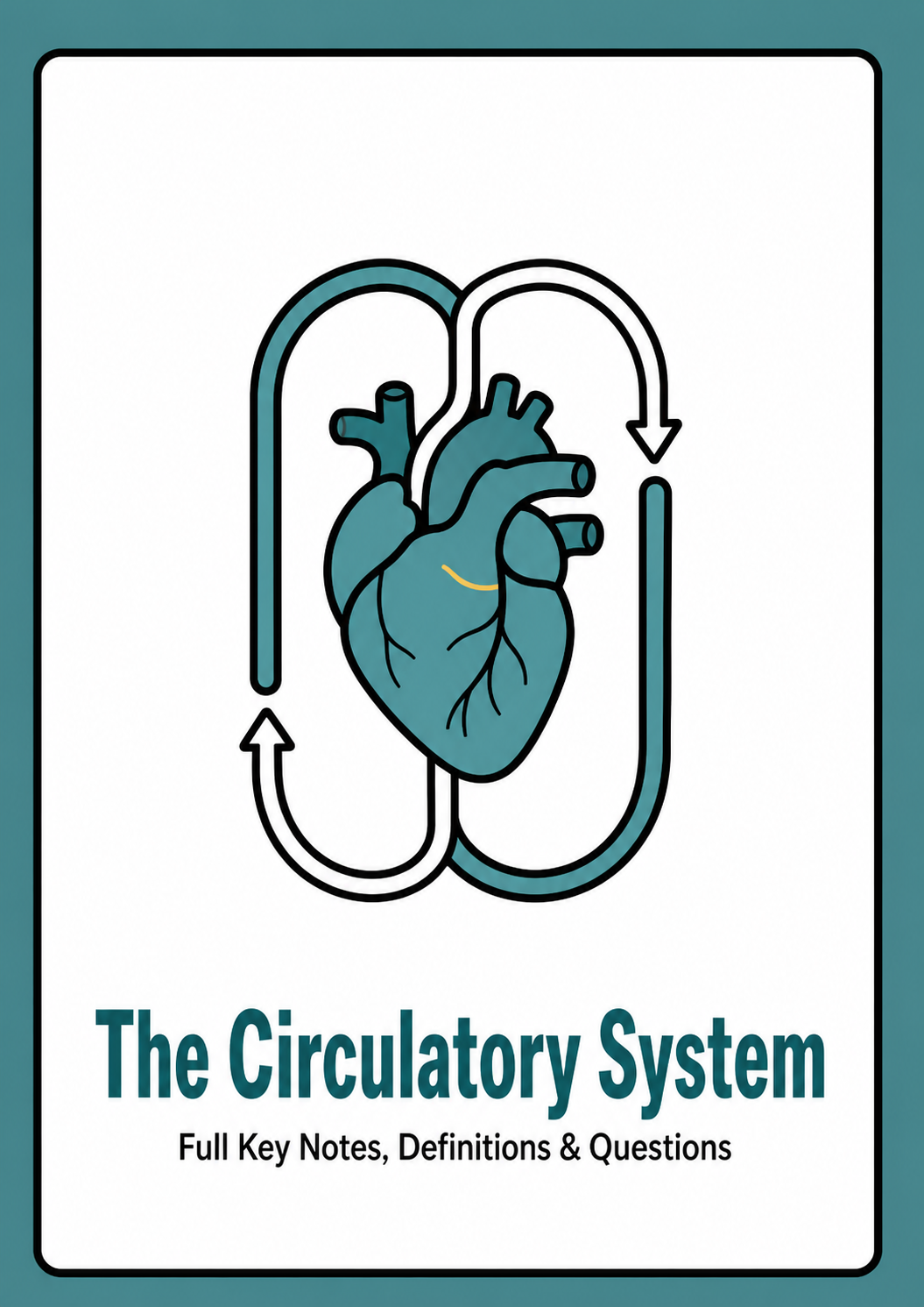 Chapter 31 - The Circulatory System cover