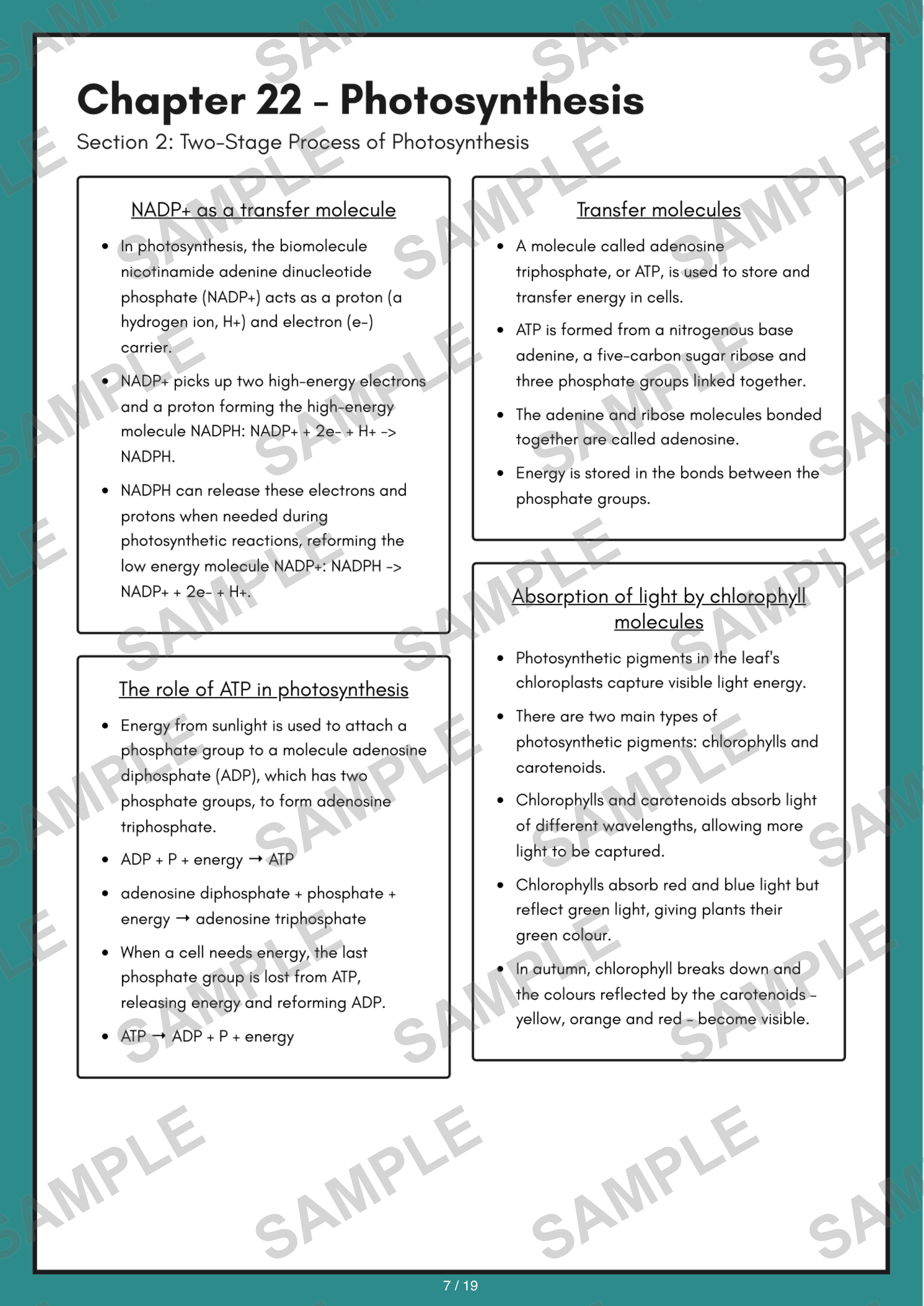 Chapter 22 - Photosynthesis sample page