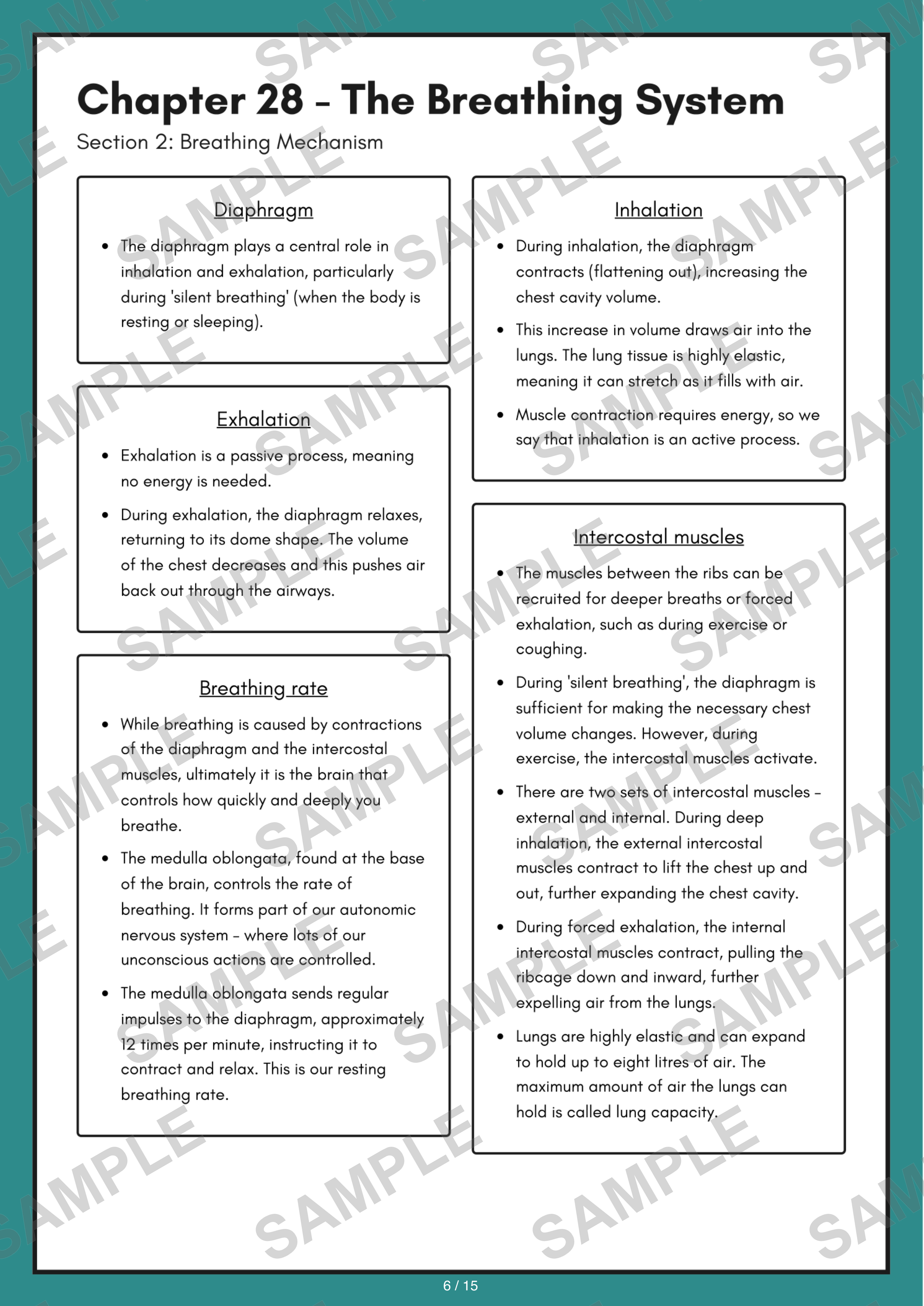 Chapter 28 - The Breathing System sample page