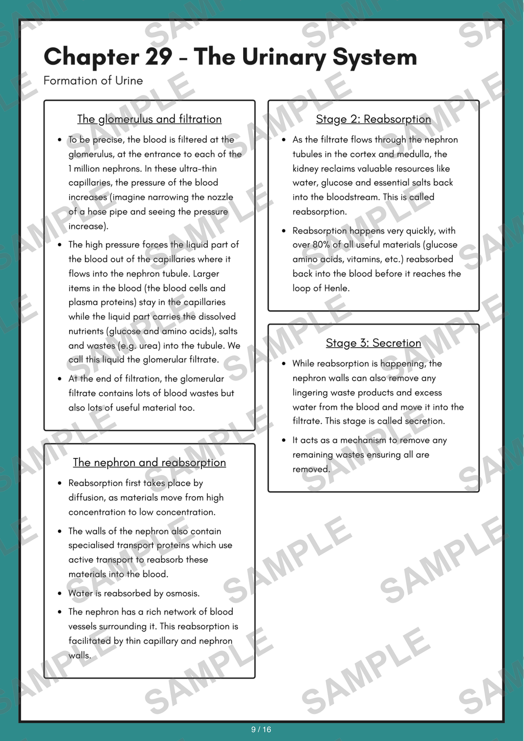 Chapter 29 - The Urinary System sample page