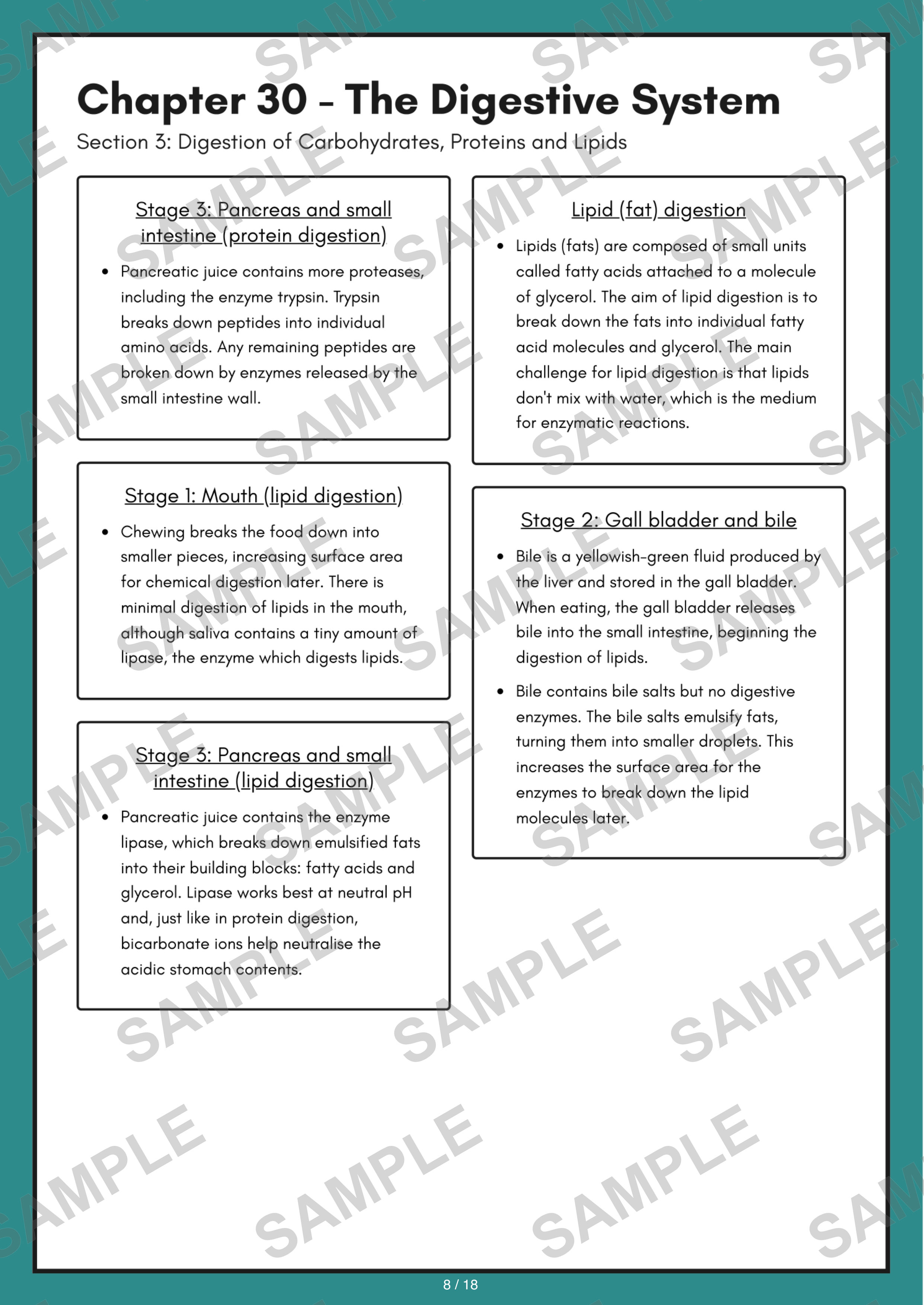 Chapter 30 - The Digestive System sample page