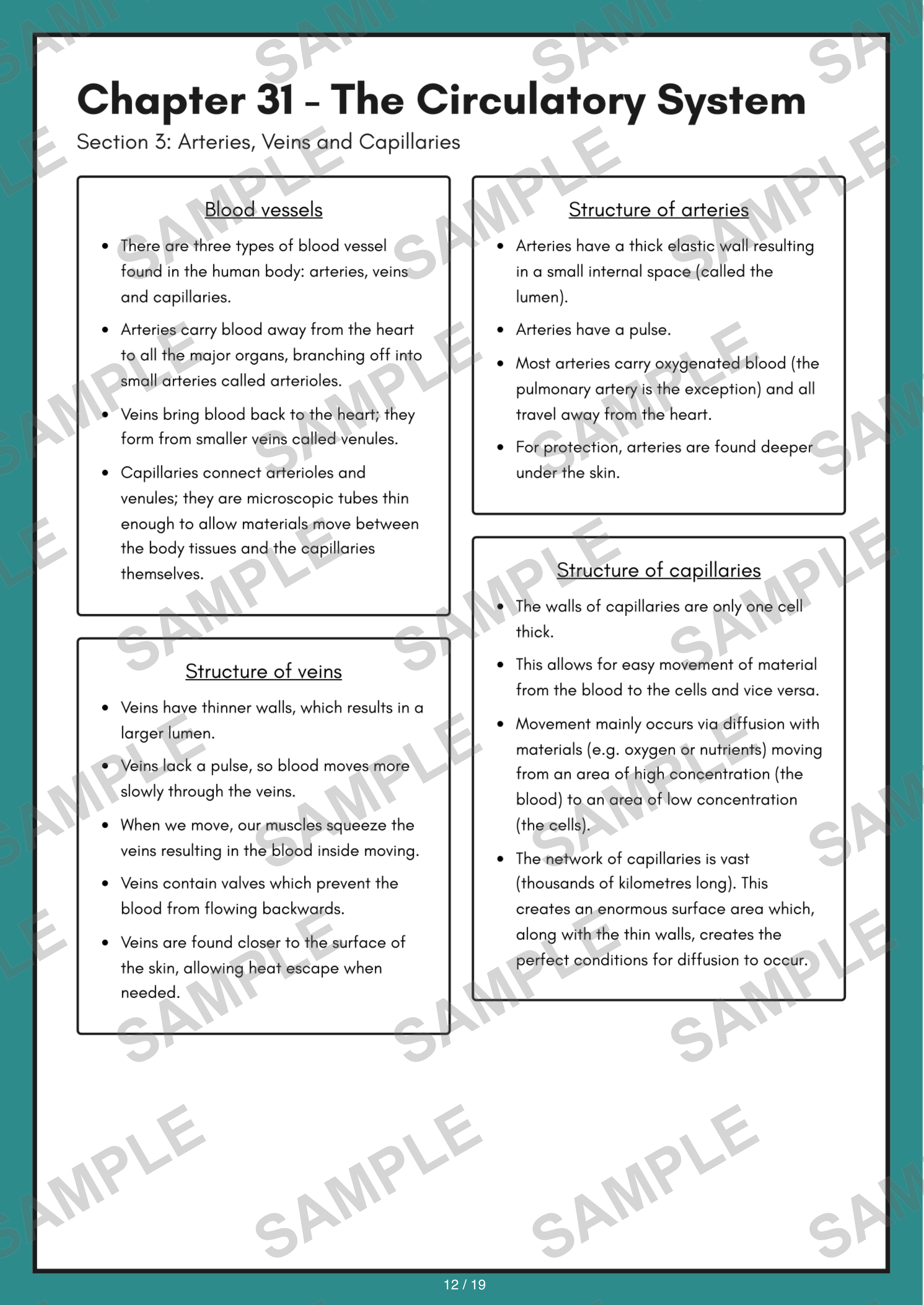 Chapter 31 - The Circulatory System sample page