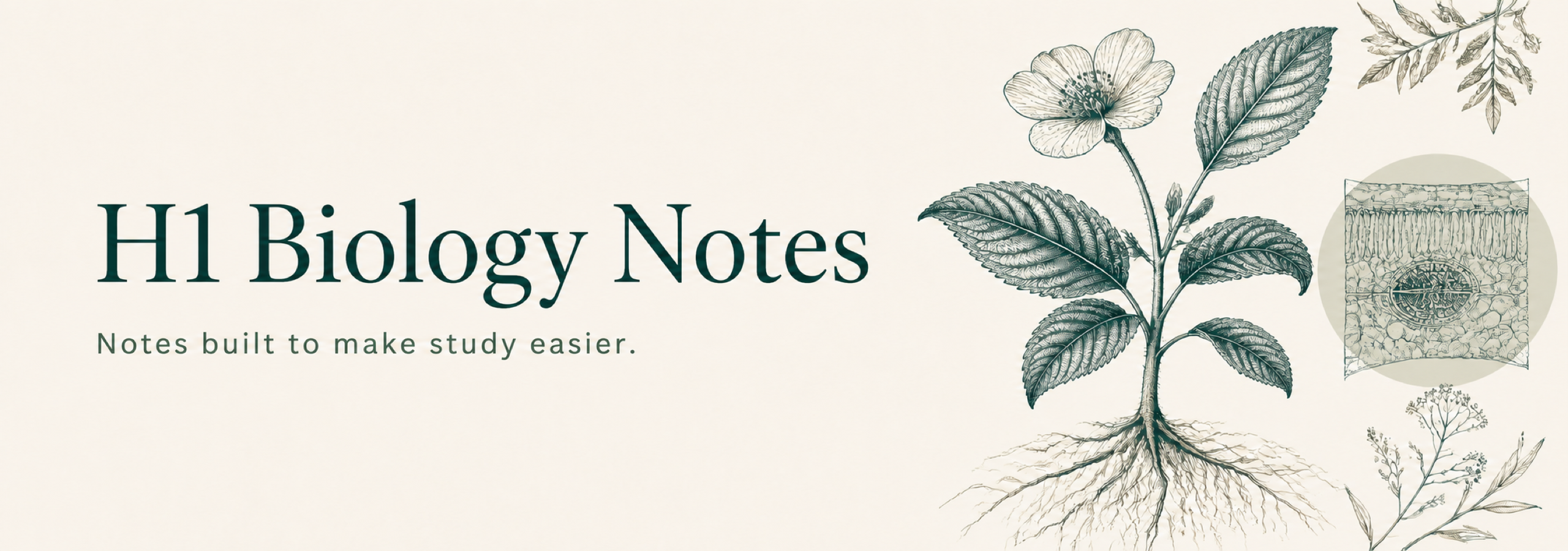 H1 Biology Notes store banner — botanical illustration with brand name and slogan