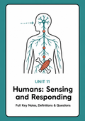 Unit 11 - Humans - Sensing and Responding