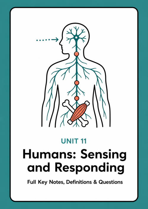 Unit 11 - Humans - Sensing and Responding